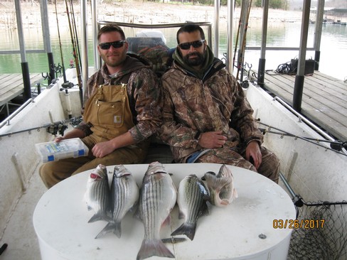 Nice Striped Bass